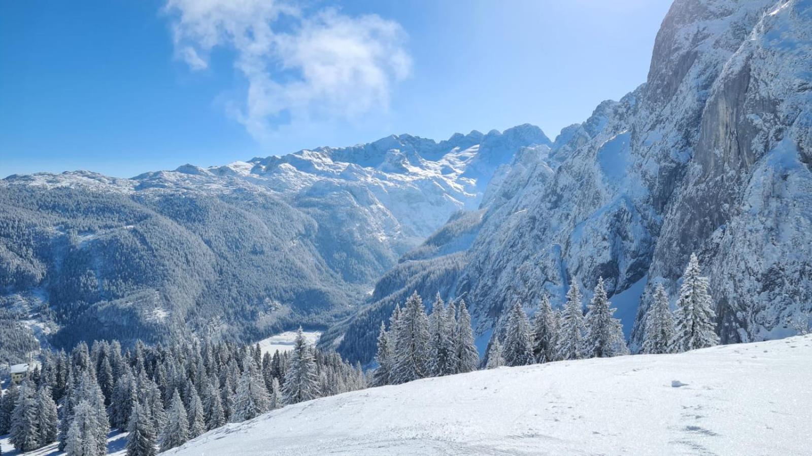 Ferienwohnung Dangos Mountainview Gosau Exterior foto